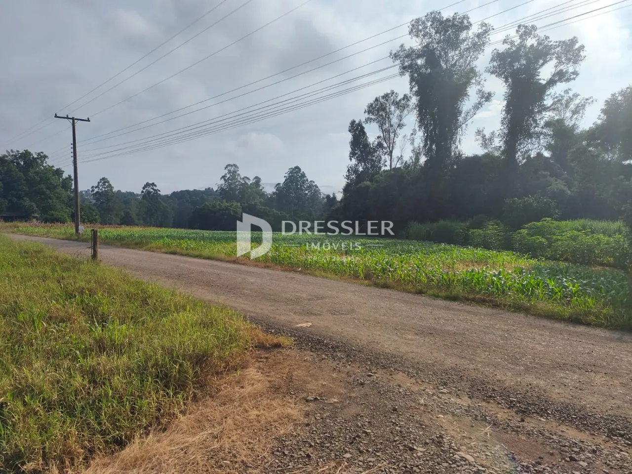 Área rural, foto 1