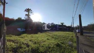 Terreno, foto 5