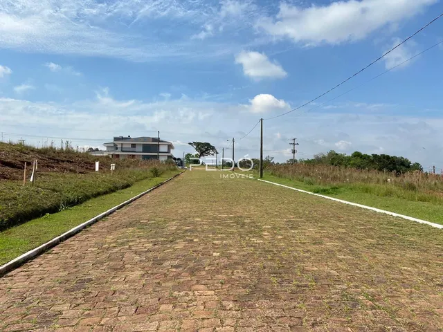 Terreno, foto 3