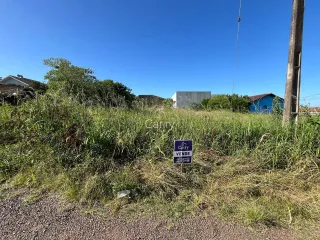 Terreno, foto 4