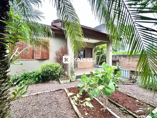 Vista externa de um jardim com plantas tropicais em uma residência.