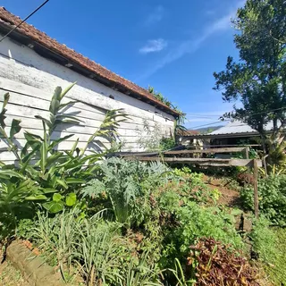Área rural, foto 16