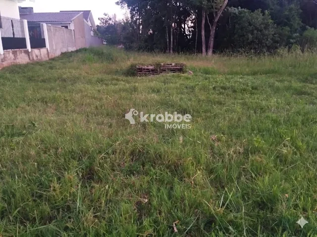 Terreno, foto 3