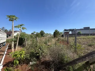 Vista externa de um terreno com vegetação densa e cerca de madeira.