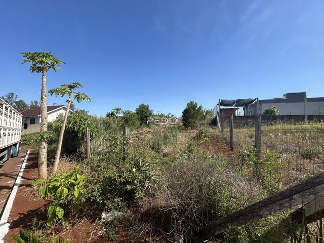 Vista externa de um terreno com vegetação densa e cerca de madeira.