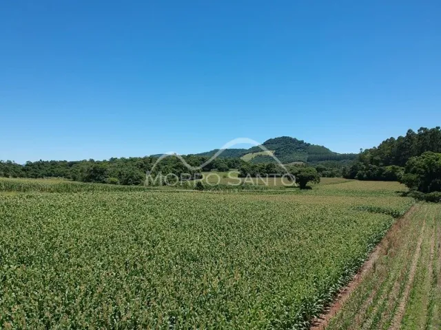 Área rural, foto 4