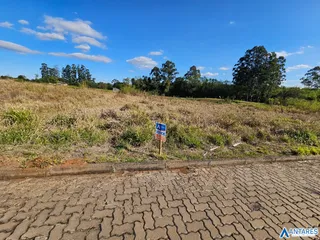 Terreno, foto 10