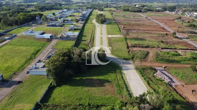 Terreno, foto 5