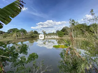 Vista panorâmica de um corpo d'água com vegetação ao redor.