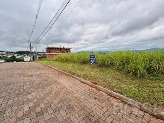 Terreno, foto 5