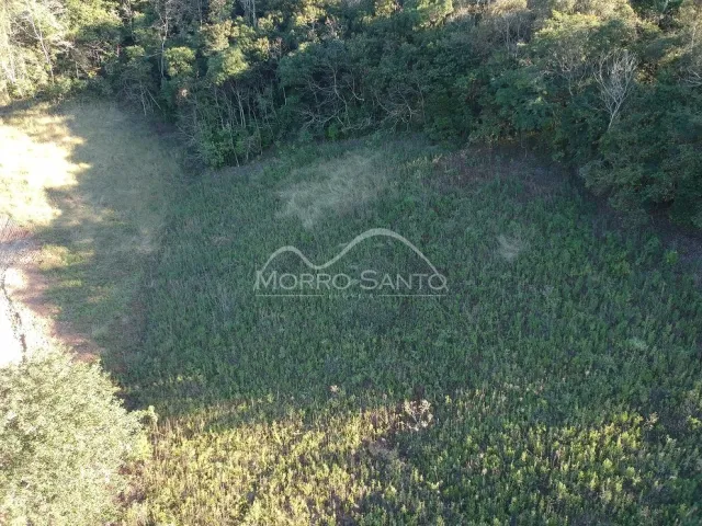 Vista aérea de uma área de terreno com vegetação densa em Lajeado, Brasil.