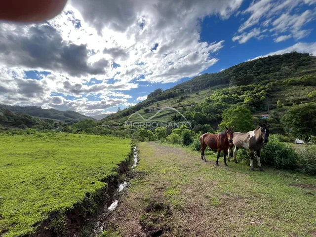 Paisagem de campo verde com colinas ao fundo em Lajeado.