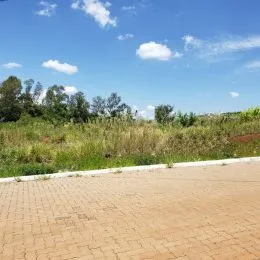 Terreno, foto 3