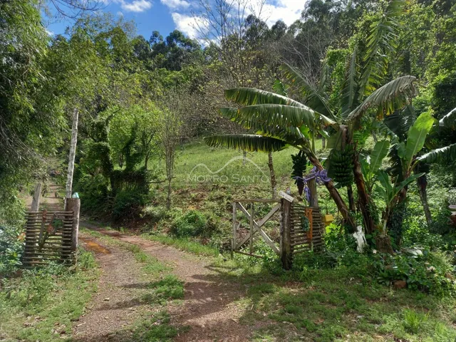 Vista externa da propriedade mostrando um caminho de terra e vegetação exuberante.