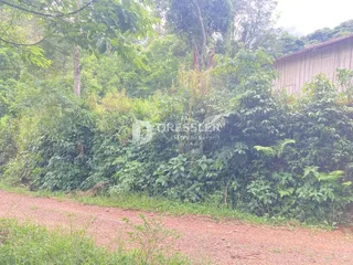 Área rural com 2 dormitórios, foto 5