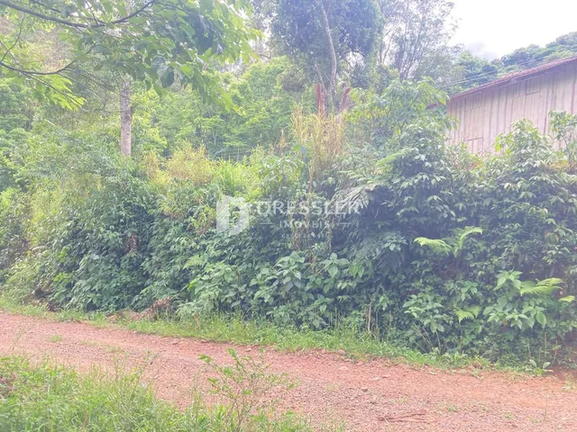 Área rural com 2 dormitórios, foto 5