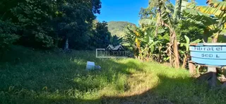 Vista externa de um terreno com grama verde e vegetação ao fundo.