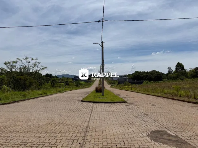 Vista da estrada pavimentada que leva a uma propriedade em Lajeado, com vegetação ao fundo.