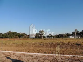 Campo aberto com vegetação seca e céu azul.