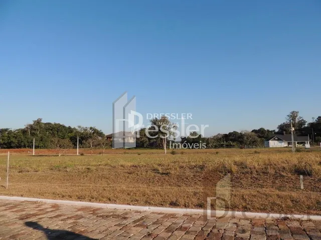 Campo aberto com vegetação seca e céu azul.
