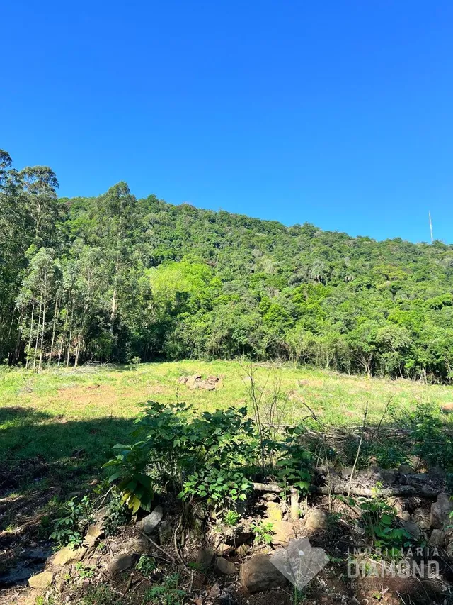 Área rural, foto 2