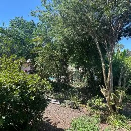 Terreno com 3 dormitórios, foto 30