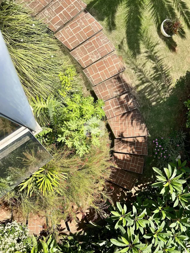 Vista aérea de um jardim com muro de tijolos e vegetação exuberante.