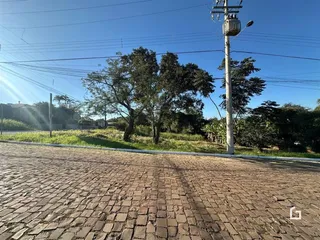 Terreno, foto 3