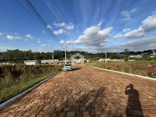 Uma estrada pavimentada leva a uma área com vegetação ao ar livre.