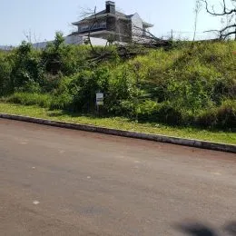 Vista de uma estrada com vegetação densa ao lado.
