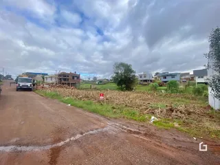 Vista da rua de terra em Lajeado, Brasil, com vegetação ao lado.