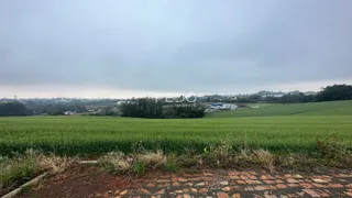 Terreno, foto 8