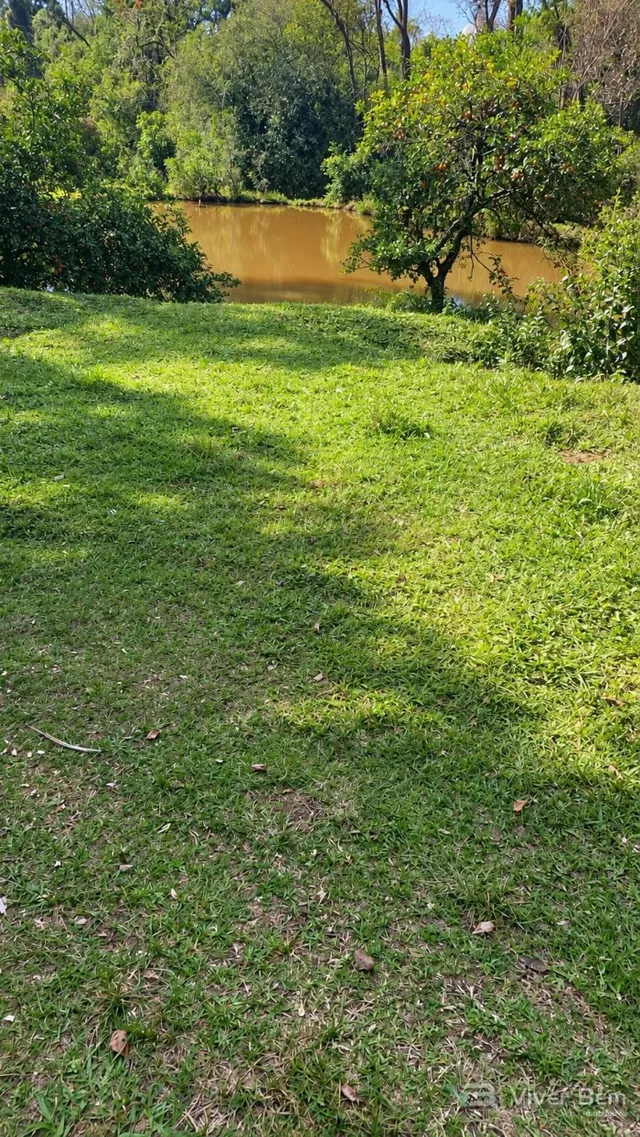 Área rural com 3 dormitórios, foto 3