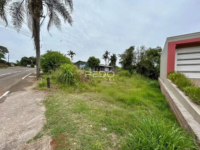 Vista da fachada de uma propriedade com terreno gramado e vegetação alta.