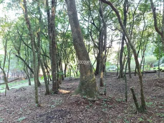 Área rural, foto 51