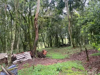 Área rural, foto 14