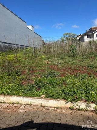 Terreno, foto 3