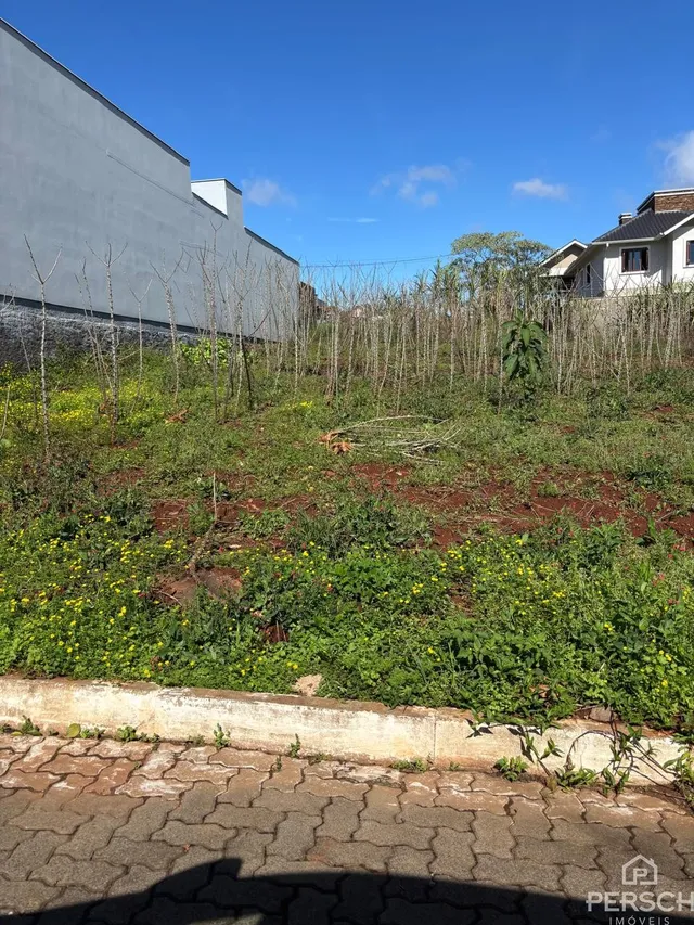 Terreno, foto 3