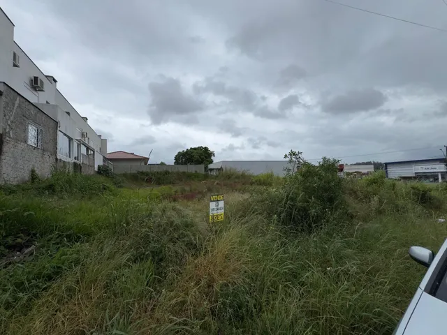 Terreno