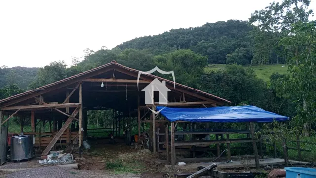 Área rural com 3 dormitórios, foto 5