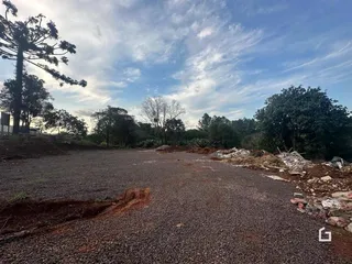 Vista de uma área de terra com cascalho e vegetação ao fundo.