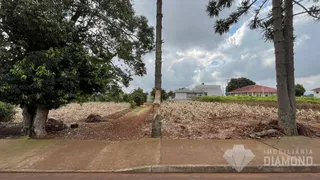 Terreno, foto 19