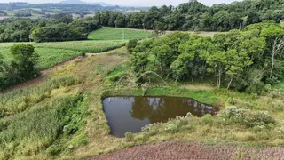 Vista panorâmica de campos e vegetação ao redor de um corpo d'água em Lajeado.