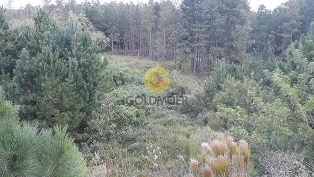 Imóvel, foto 2