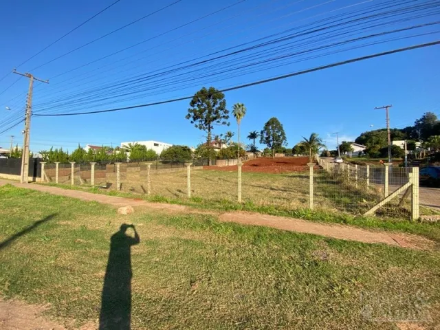 Vista externa do terreno com grama e cerca de arame.