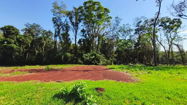 Terreno, foto 4