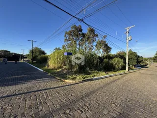 Vista da rua em Lajeado, Brasil com vegetação ao lado.