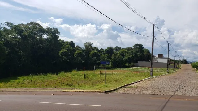 Vista externa de uma estrada rural com vegetação densa ao fundo.
