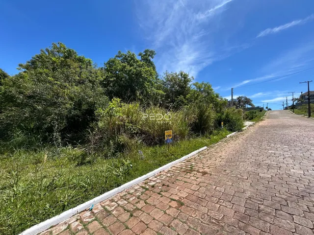 Vista da propriedade com vegetação ao longo de uma estrada de paralelepípedos.