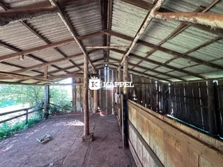 Interior rústico de um galpão com estrutura de madeira e telhado de zinco.